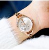  Emporio Armani Ladies Aurora Watch AR11108